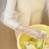 6699 ポリエチレン手袋ロングタイプ30枚 ダンロップ ホームプロダクツ 05726039