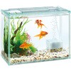 - 金魚元気ぶくぶくクリア 300 ジェックス 05726529