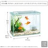 - 金魚元気ぶくぶくクリア 300 ジェックス 05726529