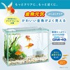- 金魚元気ぶくぶくクリア 300 ジェックス 05726529