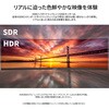 JN-49V165DQ-HSC9-L ゲーミング液晶ディスプレイ 49型/5120×1440/HDMI×2、DP×1、USB-C×1/ブラック/スピーカー有/2年保証 JAPANNEXT 05731079