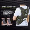 PVF-D3 ペルチェベスト 冷暖切り替え可能 フリーサイズ 10000mAhバッテリー付属 オールシーズン YAMAZEN(山善) 05765257