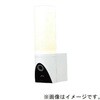 TGRD2045S 防犯カメラ付きセンサーライト タキズミ(TAKIZUMI) 05768617