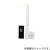 TGRD2047S 防犯カメラ付きセンサーライト タキズミ(TAKIZUMI) 05768642