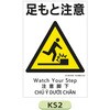 KS2 05775730