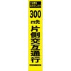 HYS-06-300 05776597