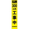 HYS-09-300 05776649