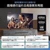 65C55S 4K液晶テレビ スマートテレビ ネット動画対応 外付けHDD録画対応 65インチ Hisense(ハイセンス) 05802811