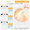 HWF-D100SL-W ドラム式洗濯乾燥機 洗濯10kg 乾燥6kg 自動投入 温水洗浄 Hisense(ハイセンス) 05803179