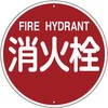 067571 05805629