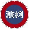 067600 05805891