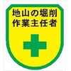 ワッペン134 ワッペン 軟質ビニール製 安全ピン付 仙台銘板 05812882