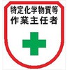 ワッペン147 ワッペン 軟質ビニール製 安全ピン付 仙台銘板 05813022
