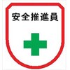 ワッペン105 ワッペン 軟質ビニール製 安全ピン付 仙台銘板 05813040