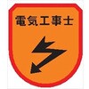 ワッペン167 ワッペン 軟質ビニール製 安全ピン付 仙台銘板 05813076