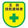 ワッペン137 ワッペン 軟質ビニール製 安全ピン付 仙台銘板 05813101