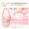 APMRY53 ANLAN Rose Lumi 美顔器 ANLAN 05824976