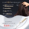 908A ANLAN オールカールアイロン ANLAN 05824992