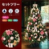 8813-508 クリスマスツリーセット シャンパンブロッシュ[ストエキオリジナル] ストア・エキスプレス 05920962