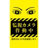 CPY-02 j[R[TC hƕW ĎJ쓮 O[NX 06054959