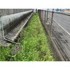 20kg 雑草アタック 日本乾溜工業 06078148