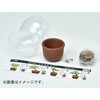 育てるカプセル ミニ盆栽 4s 聖新陶芸
