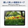SSK-ITM22FL iPad 11インチ (A16)/iPad 10.9インチ 保護フィルム 光沢 Smart Stock 06087747