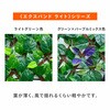 EXL-90180PM グリーンフェンス 伸縮型 エクスパンドライト リーフラティス YAMAZEN(山善) 06089637