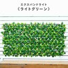EXL-90180PM グリーンフェンス 伸縮型 エクスパンドライト リーフラティス YAMAZEN(山善) 06089637