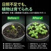 SL-G120P 植物育成用 直管型LEDライト 連結可能 GOODGOODS(グッド・グッズ) 06090030