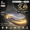269 インソール グリップイン 究極 パフォーマンスサポート 木原産業 06093417