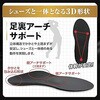 269 インソール グリップイン 究極 パフォーマンスサポート 木原産業 06093417