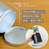 BMB25MD 観葉植物用 プランター   内径6.3cm×全高7.4cm アセンス 06095167