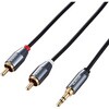 RCA 3.5mm 変換ケーブル (3.5mm ステレオミニプラグ to 2RCAプラグ 赤白) 2m 金メッキプラグ エレコム