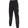 660802 プーマ TEAMFINAL PISTE パンツ PUMA PUMA 06102989