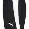 660802 プーマ TEAMFINAL PISTE パンツ PUMA PUMA 06102989