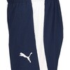 660802 プーマ TEAMFINAL PISTE パンツ PUMA PUMA 06103436