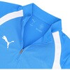 660973 プーマ TEAMFINAL TR 1/4 ジップトップ PUMA PUMA 06103576