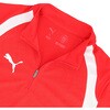 660973 プーマ TEAMFINAL TR 1/4 ジップトップ PUMA PUMA 06105439