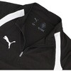 660973 プーマ TEAMFINAL TR 1/4 ジップトップ PUMA PUMA 06103942