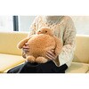 EWT-2644BR 蓄熱式エコ湯たんぽ「ぬくぬく」(ヌーク) スリーアップ 06110987