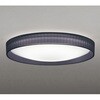 OL291782R LEDシーリング ODELIC(オーデリック) 06116411