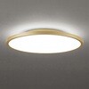 OL291810BR LEDシーリング ODELIC(オーデリック) 06116569