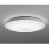 OL291807NGR LEDシーリング ODELIC(オーデリック) 06116971