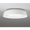 OL291760R LEDシーリング ODELIC(オーデリック) 06116989