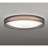 OL291779NGR LEDシーリング ODELIC(オーデリック) 06117786