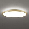 OL291811BR LEDシーリング ODELIC(オーデリック) 06117872
