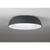 OL291767GR LEDシーリング ODELIC(オーデリック) 06118082