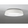 OL291763BR LEDシーリング ODELIC(オーデリック) 06118486