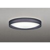 OL291780BR LEDシーリング ODELIC(オーデリック) 06118556